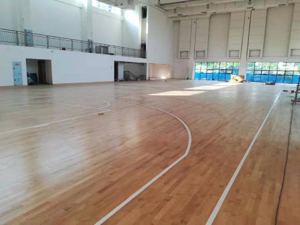 臨海籃球場運動木国产日皮视频